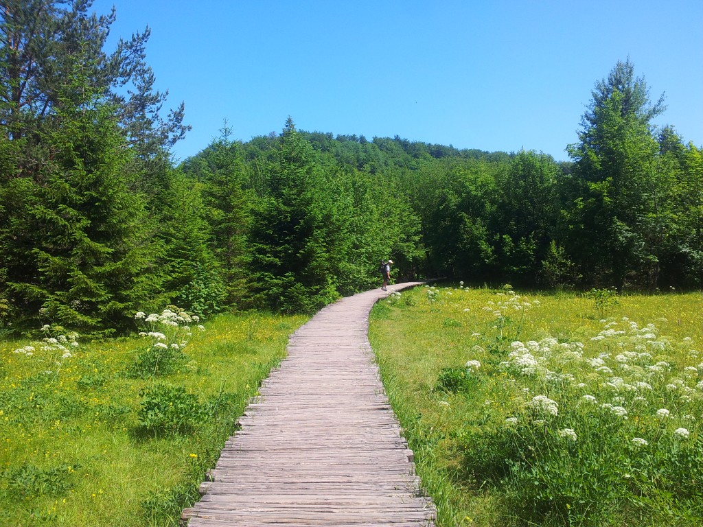 as you begin the board walks