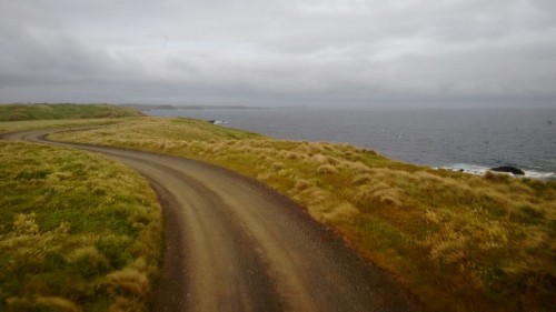 coastal walk 1