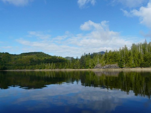 The view from the zodiac as we went on the bear watching tour