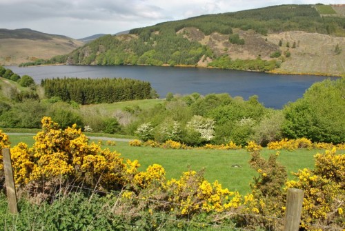 Beautiful Wicklow