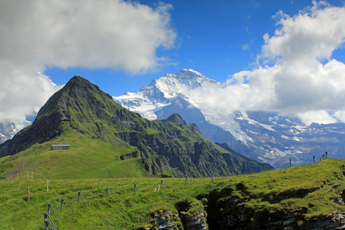 swiss summer