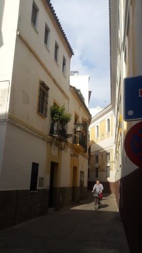 Alleys and beautiful buildings